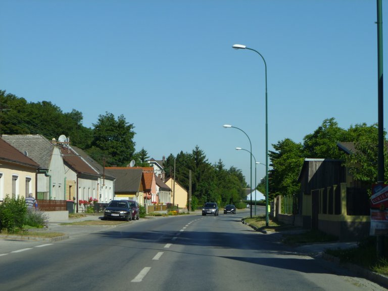 s137-1462 s137-1462