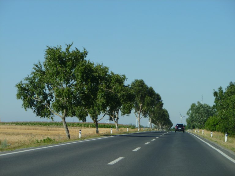 s137-1494 s137-1494
