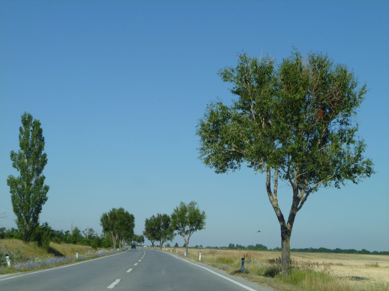 s137-1502 s137-1502