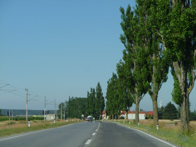 s137-1503 s137-1503