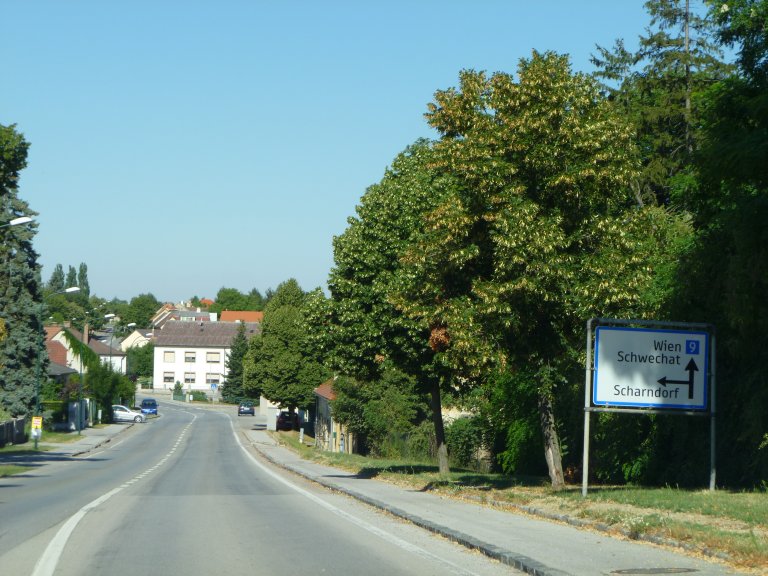 s137-1507 s137-1507