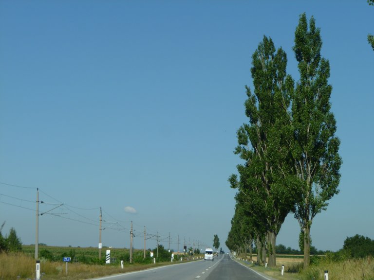 s137-1512 s137-1512