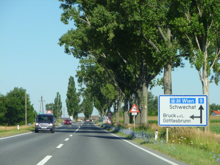 s137-1519 s137-1519