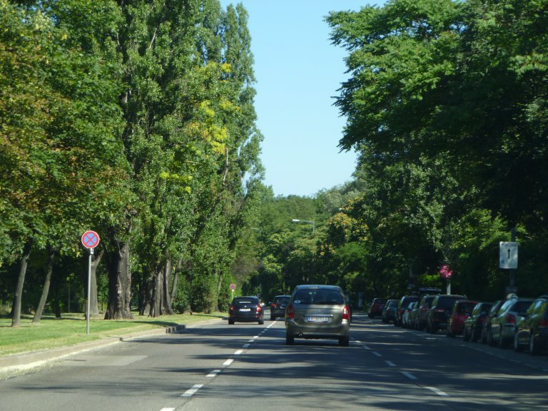 s137-1564 s137-1564