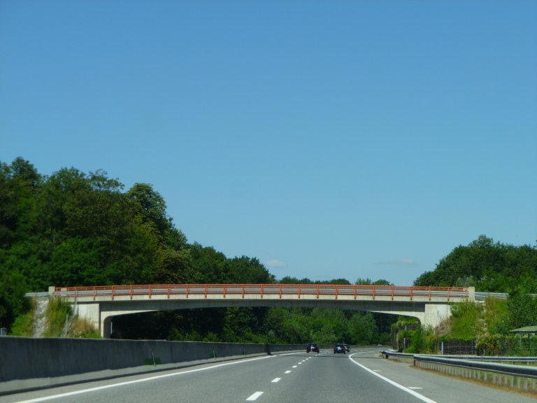 s137-1663 s137-1663