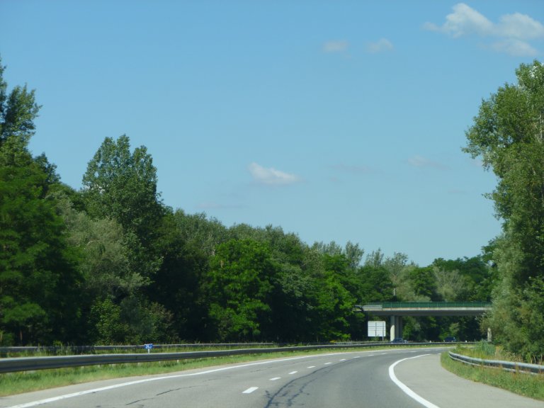 s137-1702 s137-1702
