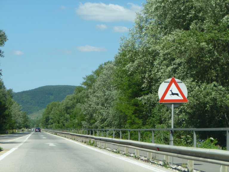 s137-1713 s137-1713