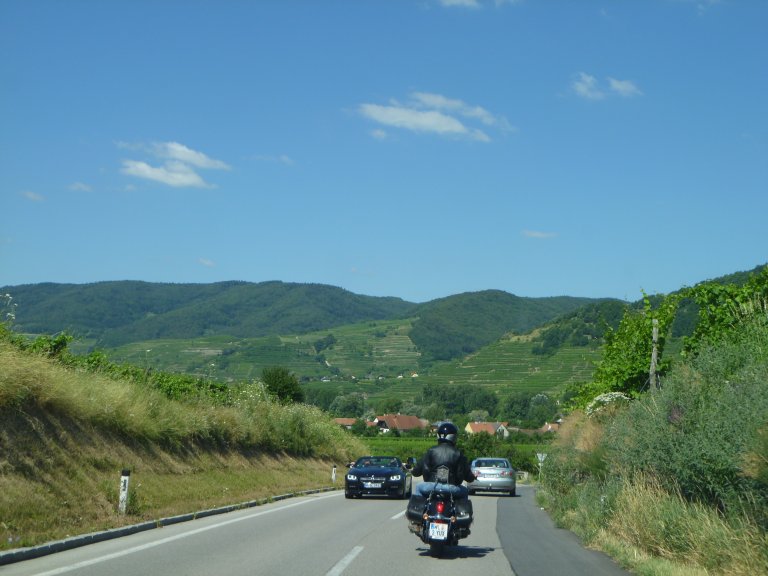 s137-1736 s137-1736