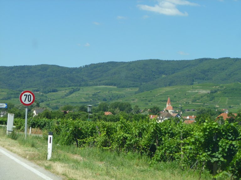 s137-1737 s137-1737