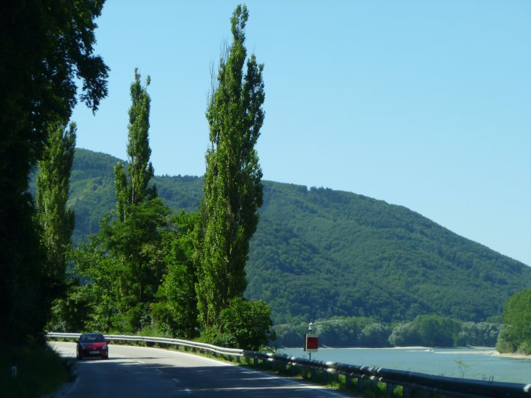 s137-1771 s137-1771