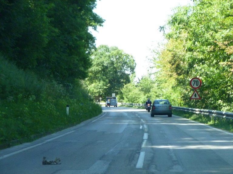s137-1785 s137-1785