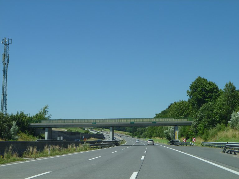 s137-1866 s137-1866