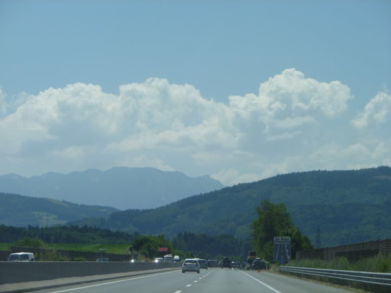 s137-2031 s137-2031