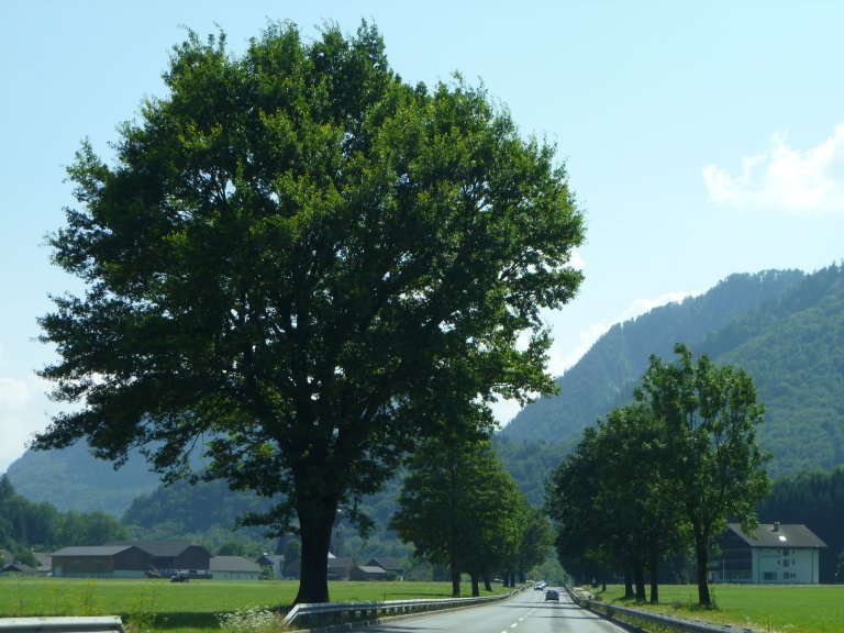 s137-2203 s137-2203