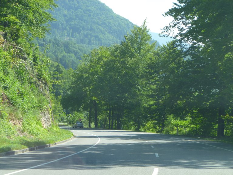 s137-2216 s137-2216