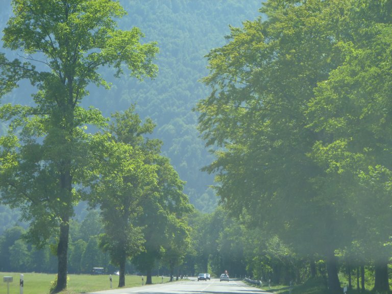 s137-2217 s137-2217