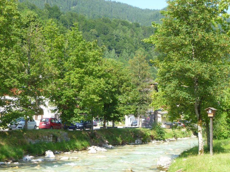 s137-2256 s137-2256