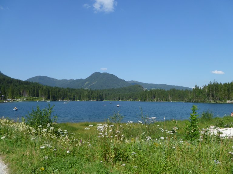 s137-2276 s137-2276