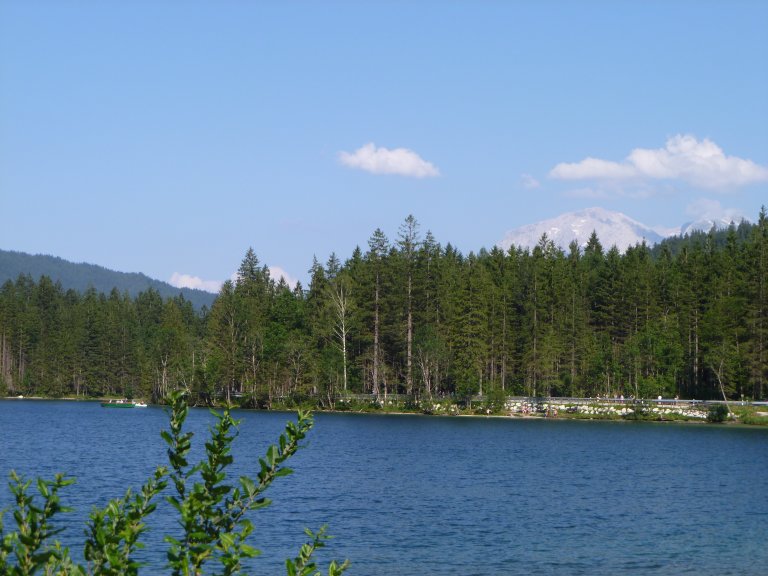s137-2277 s137-2277