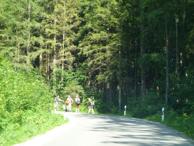 s137-2283 s137-2283