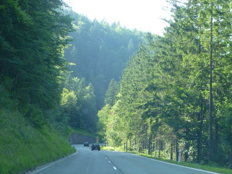 s137-2305 s137-2305