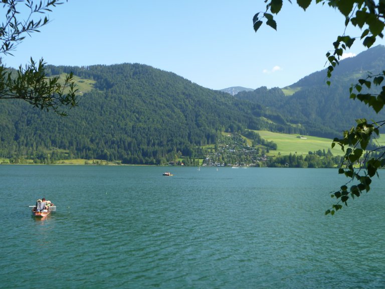 s137-2392 s137-2392