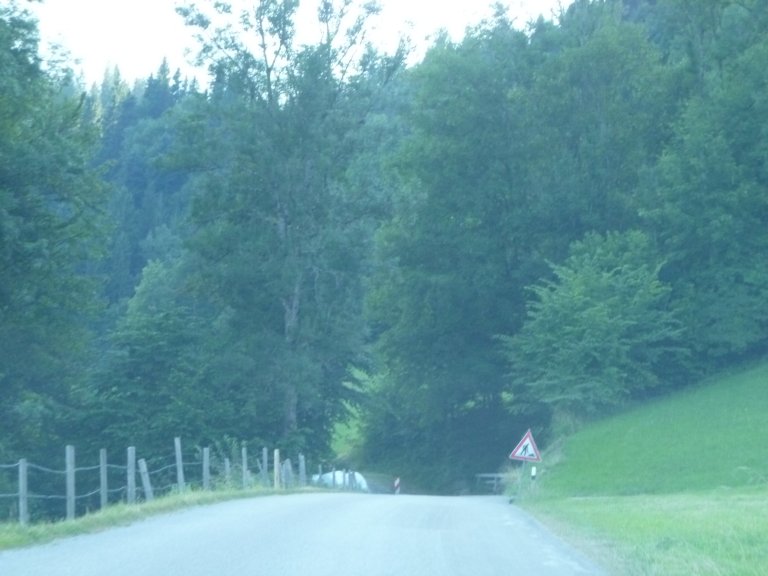 s137-2419 s137-2419