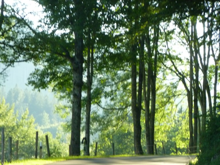 s137-2432 s137-2432