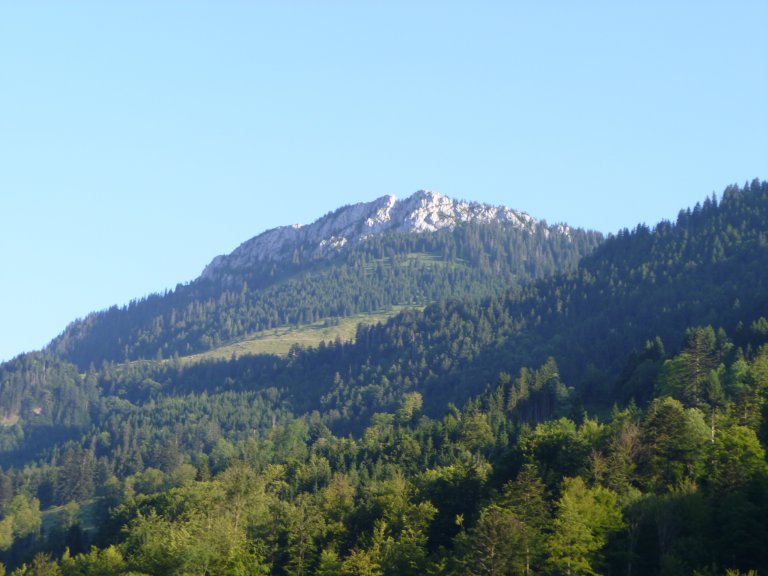 s137-2438 s137-2438
