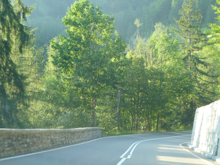 s137-2480 s137-2480