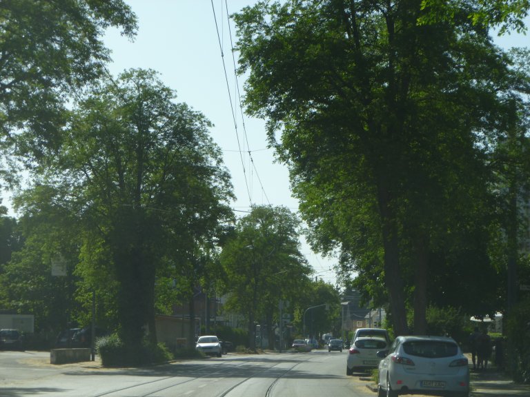 s146-0013 s146-0013