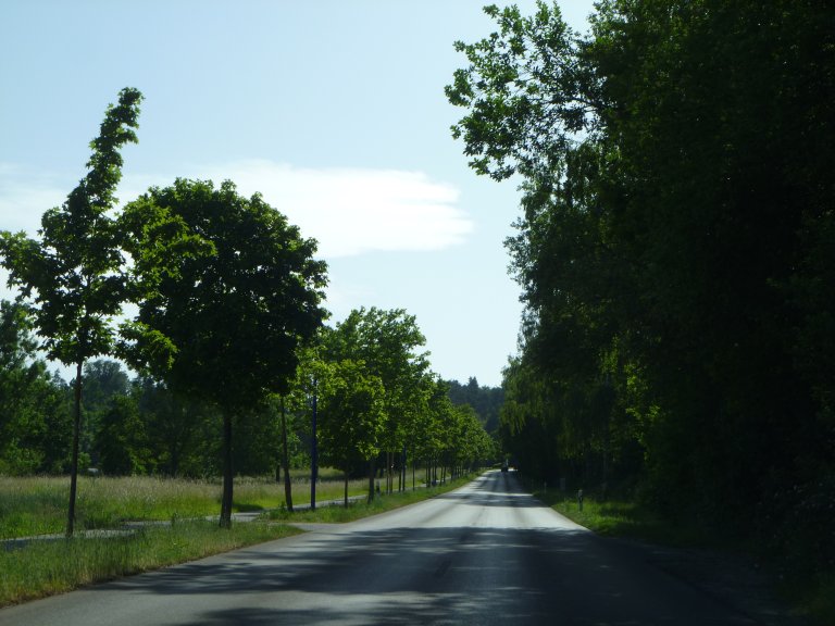 s146-0019 s146-0019