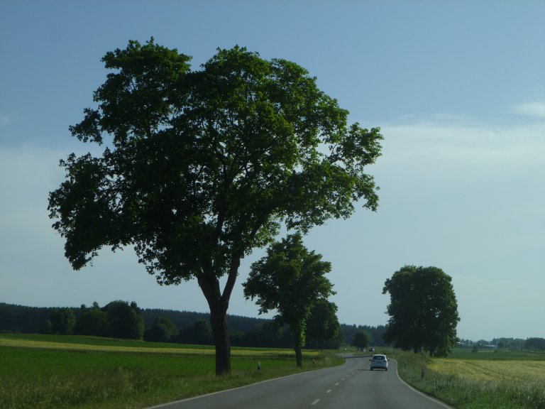 s146-0042 s146-0042