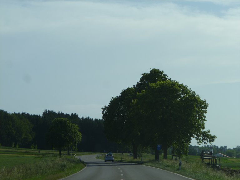 s146-0045 s146-0045
