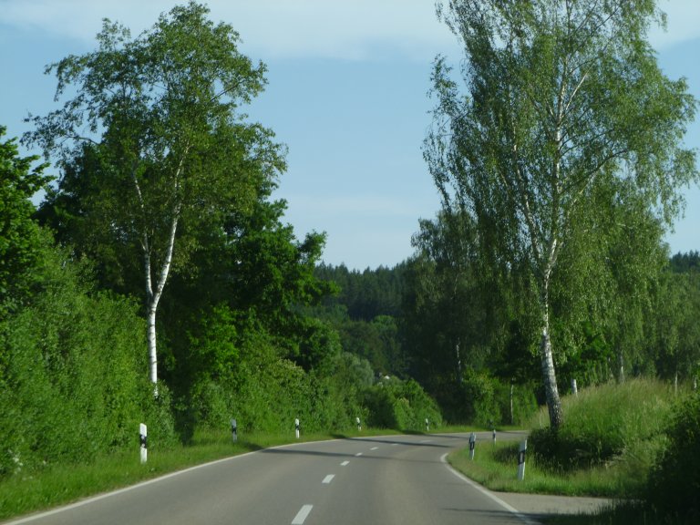 s146-0055 s146-0055