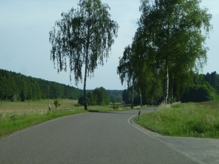 s146-0060 s146-0060