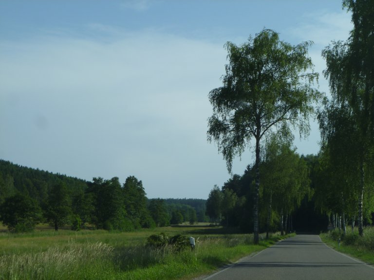 s146-0061 s146-0061