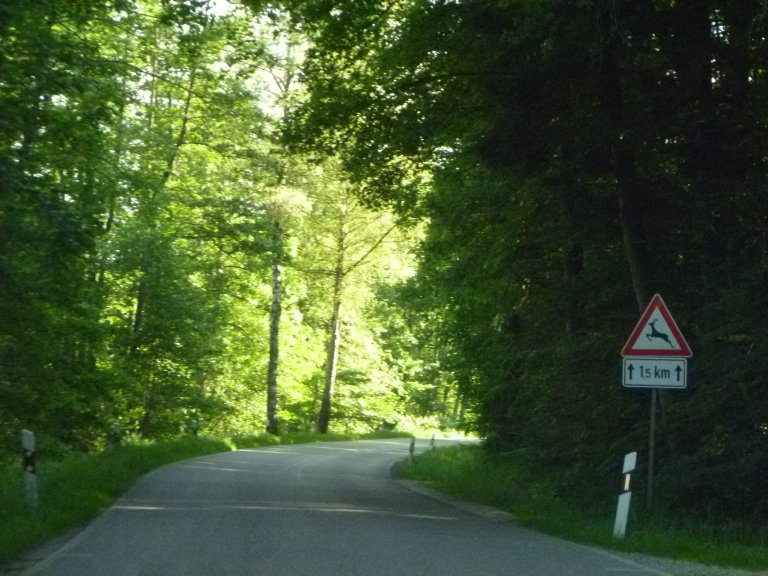 s146-0064 s146-0064