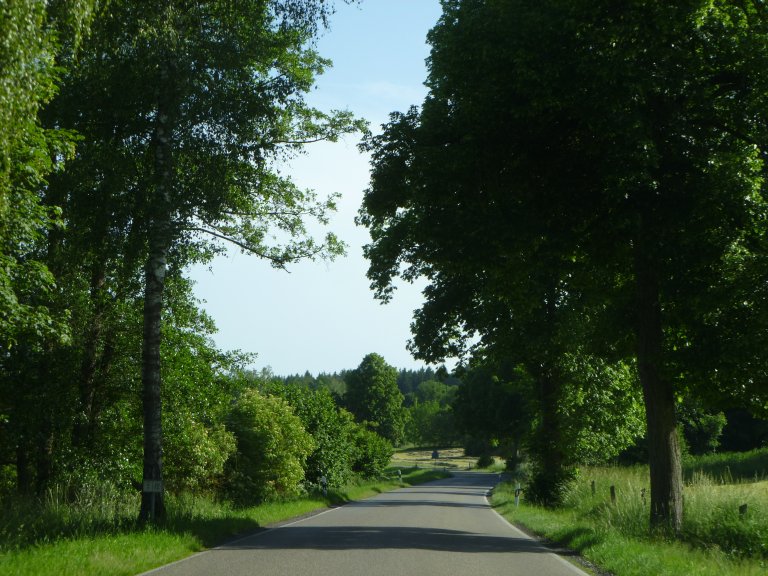 s146-0065 s146-0065