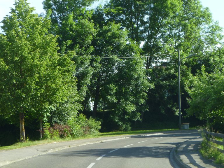 s146-0074 s146-0074