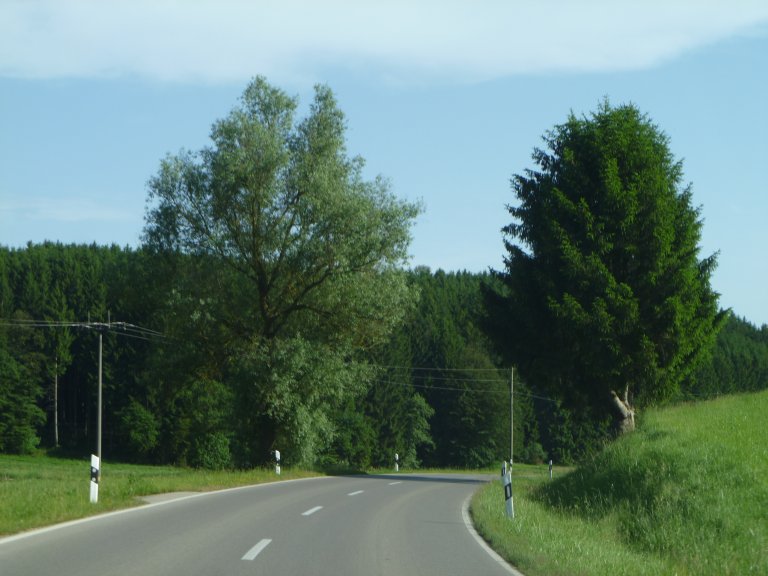 s146-0081 s146-0081
