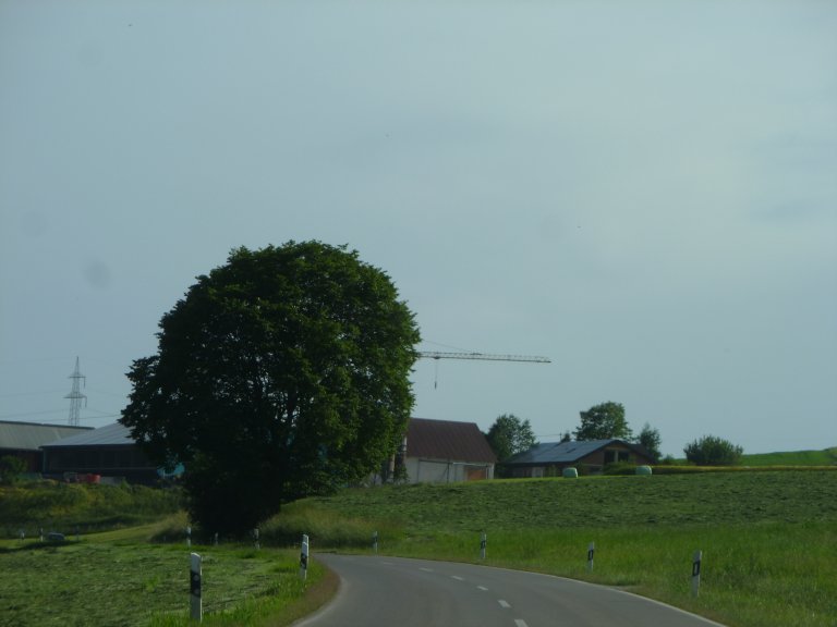 s146-0082 s146-0082