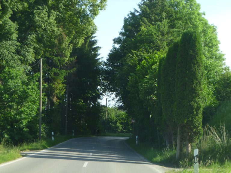s146-0083 s146-0083