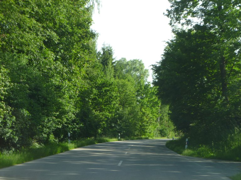 s146-0094 s146-0094