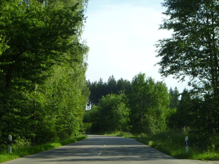 s146-0095 s146-0095