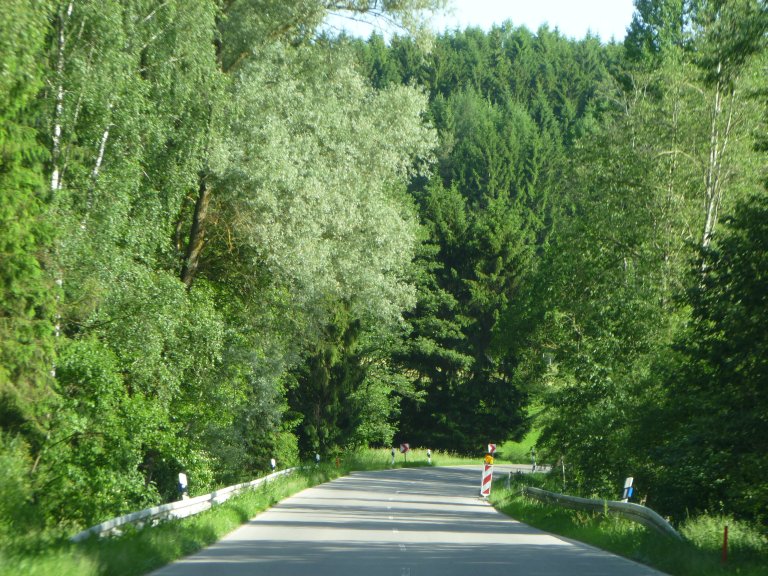 s146-0097 s146-0097