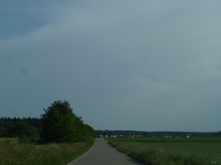 s146-0115 s146-0115