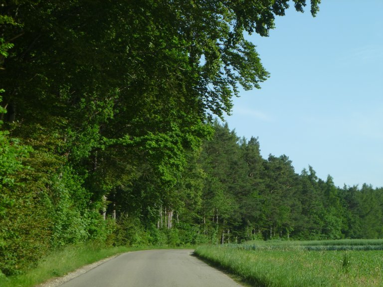 s146-0117 s146-0117