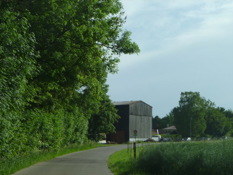 s146-0118 s146-0118