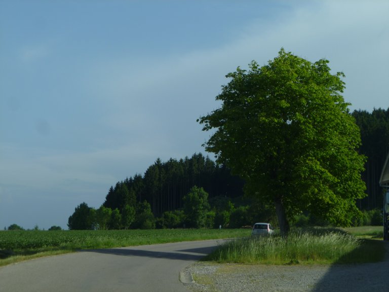 s146-0129 s146-0129